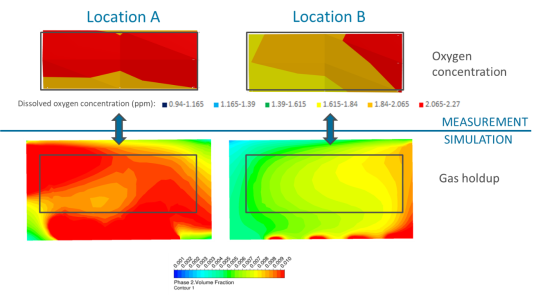 Validation of CFD model based on dissolved oxygen profiles and gradients