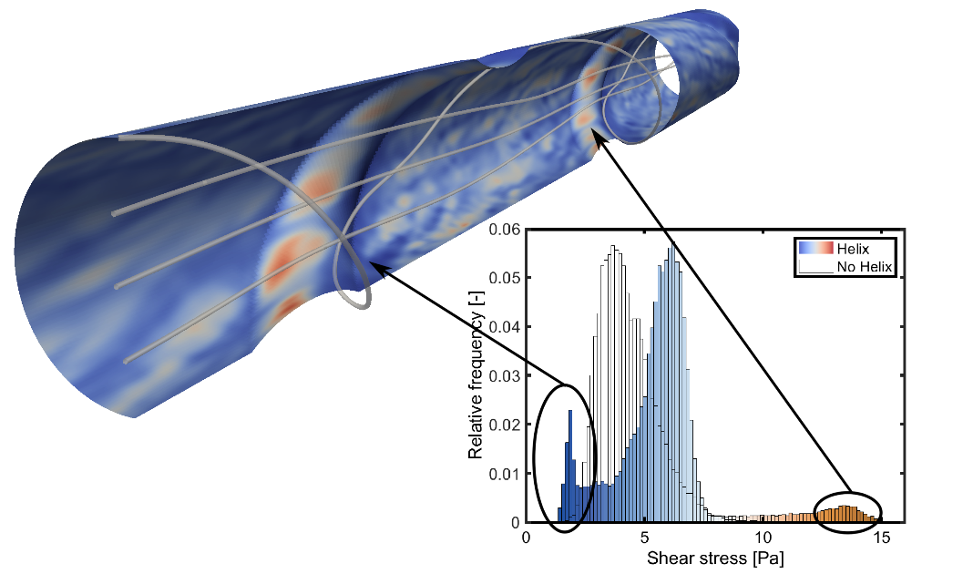 Shear distribution on tubular membrane surface with helix design
