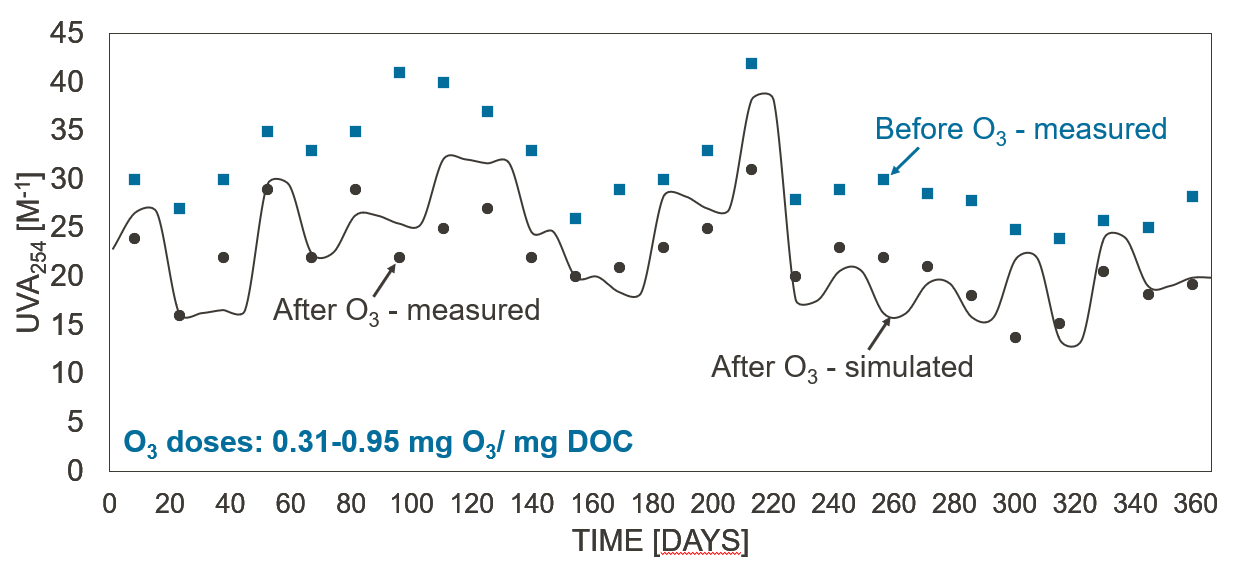 Simulated and measured UV254 absorbance during ozonation